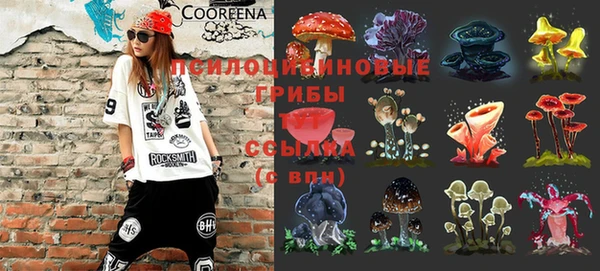 молекула духа Михайловка