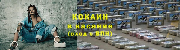 дживик Михайлов
