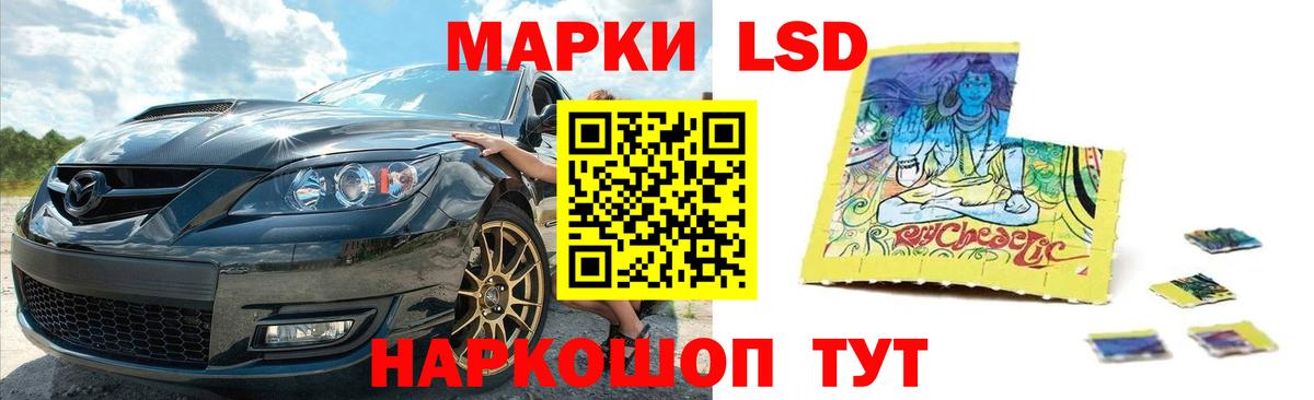 Заинск  Лсд 25 экстази кислота  Лсд 25 экстази кислота  Вход с VPN 