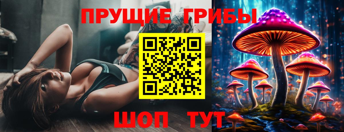 Заинск  Псилоцибиновые грибы мицелий  Вход с VPN  продажа наркотиков  Псилоцибиновые грибы мицелий 